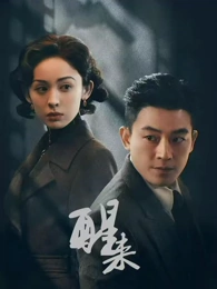 秘密森林在线观看